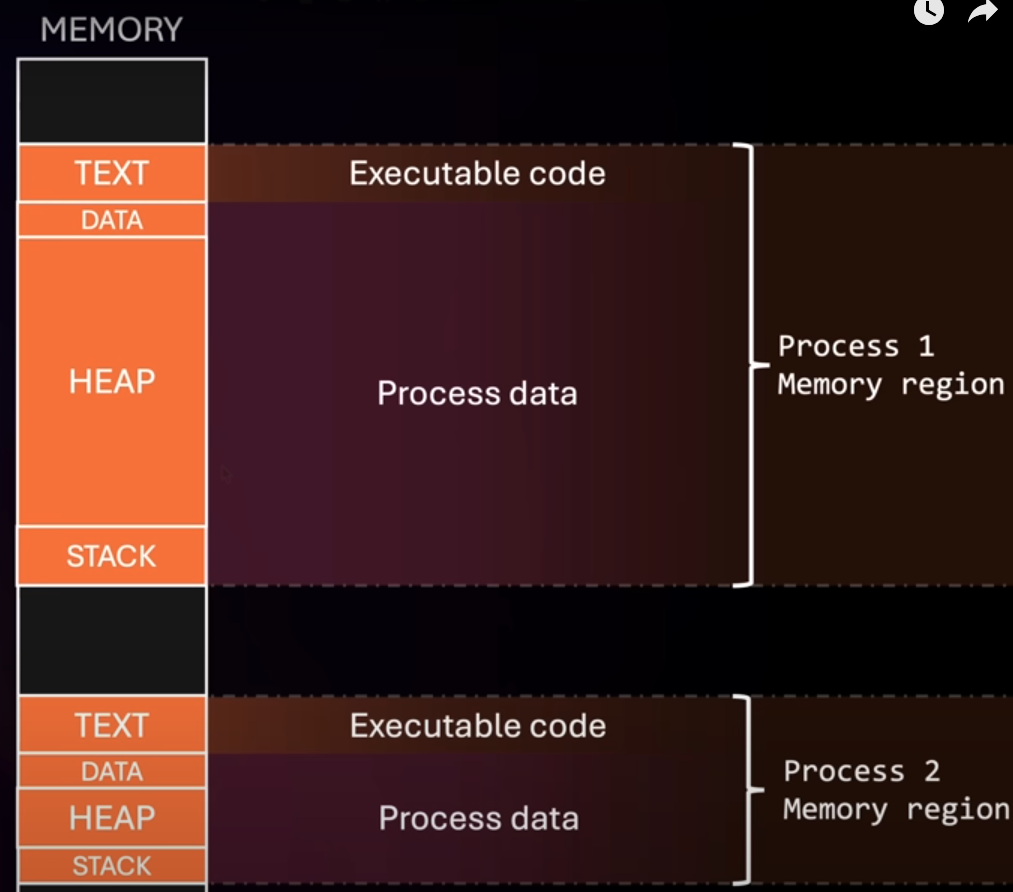 Process Layout